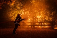 La ola de calor extrema provoca una emergencia sin precedentes en Europa