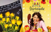 Floricienta y la verdadera razón por la que se regalan flores amarillas en septiembre