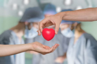 Día Nacional de la Donación de Órganos: ¿por qué se celebra hoy?
