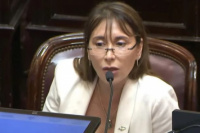 Una Senadora tuvo un duro discurso contra Javier Milei: 