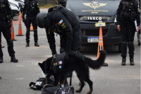 La Renga en Córdoba: incautaron marihuana, cocaína, LSD y dos personas quedaron detenidas