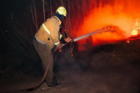 Protección Civil sofocó 20 focos de incendio en el Médano de Oro luego del viento Zonda