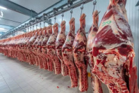 La carne argentina exporta más pero vale menos: los precios caen un 25%