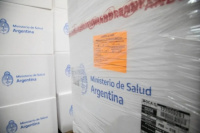 Llegaron las vacunas contra el dengue: a qué lugares se distribuirá primero