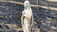 Perciben la imagen de una Vírgen durante los incendios en Córdoba