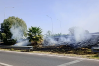 Una colilla de cigarrillo provocó un incendio en plena Avenida Circunvalación