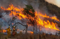 Incendios en Córdoba: el Senado aprobó la emergencia ambiental por 180 días