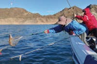 Levantaron la veda de pesca deportiva en el Dique San Agustín de Valle Fértil