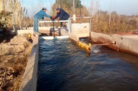 Encontraron el cuerpo sin vida de una mujer en un canal