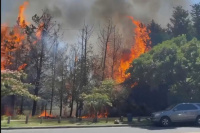 Intenso incendio en un campo de golf de Buenos Aires alcanzó árboles y se propagó rápidamente