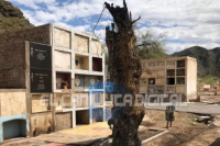 Incendio en el cementerio de Caucete: hay árboles quemados y daños en algunos nichos