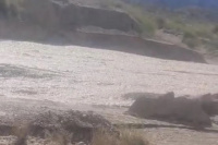 Por la bajada de creciente, se cortó el tránsito en la Ruta 60 a la altura del dique Punta Negra