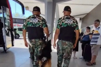 Gran despliegue operativo en la Terminal de Ómnibus de San Juan en contra del narcotráfico