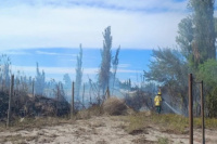 Se produjo un incendio forestal que se acercó gravemente al camping de Santa Lucía