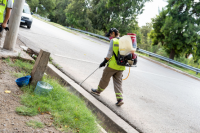 La Municipalidad de San Juan programó un nuevo cronograma de desinsectación o desratización