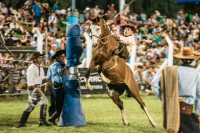 Comienza la venta de entradas de la XXIII Fiesta Nacional de las Destrezas Criollas y el Folklore