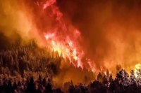 Se produjo un terrible incendio en un basural de Santa Lucía