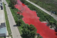 Vecinos de Sarandí indignados por el arroyo de la localidad que amaneció teñido de rojo