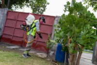  Campaña de desinsectación y desratización en la Ciudad de San Juan