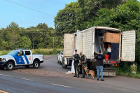 Megaoperativo en la frontera misionera: llevaban casi 4 toneladas de marihuana en un camión de mudanzas