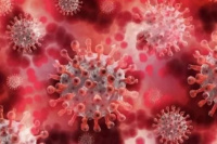 Descubren en China un virus parecido al Covid-19 y genera alerta