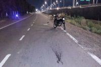 Terrible accidente ente un caballo y una motocicleta terminó con dos personas heridas 