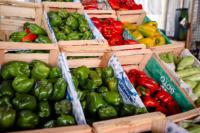 Estos son los precios de la Feria y Mercado de Abasto de la Ciudad