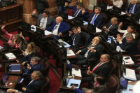  Entre los senadores que no emitieron palabra en la Cámara de Diputados se encuentra un sanjuanino